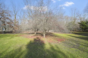  Photo 56