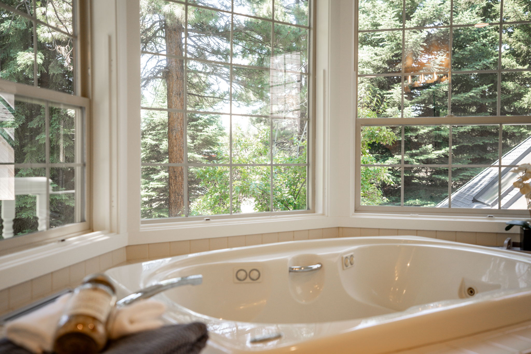 Large jetted tub with a view