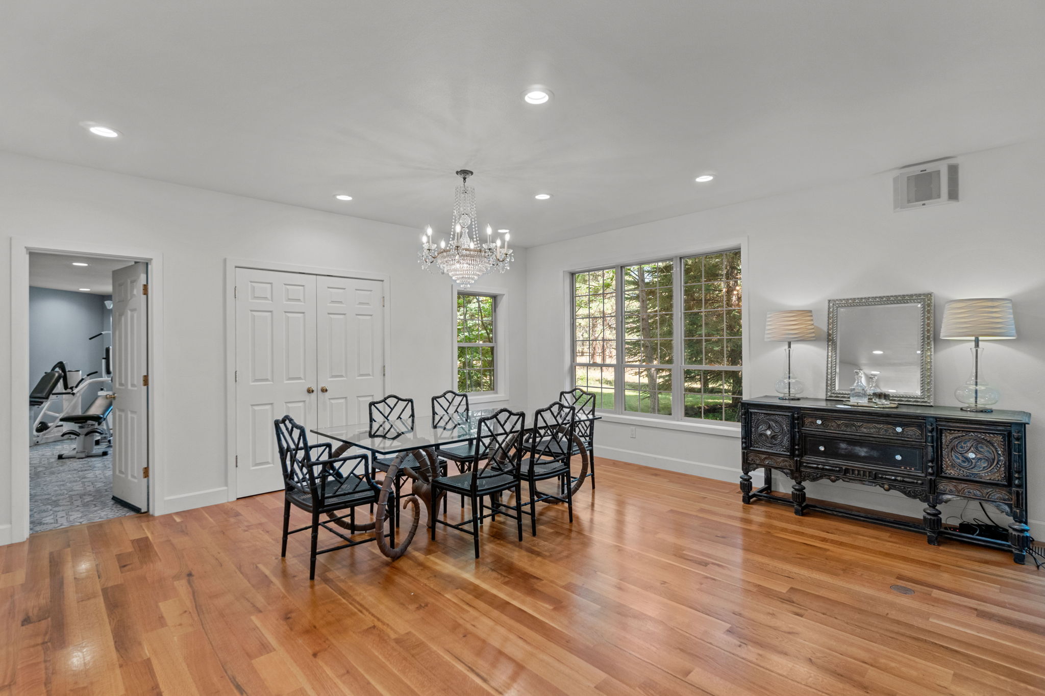 Gorgeous dining room chandelier