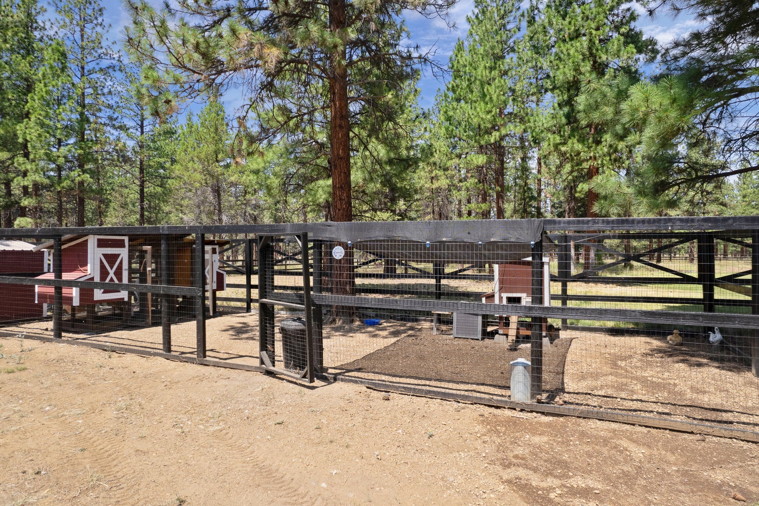 Chicken enclosure with coops, water and power