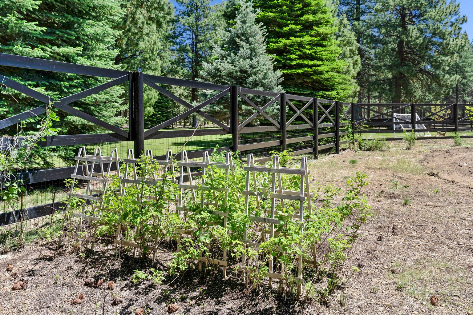 Enclosed garden area with irrigation