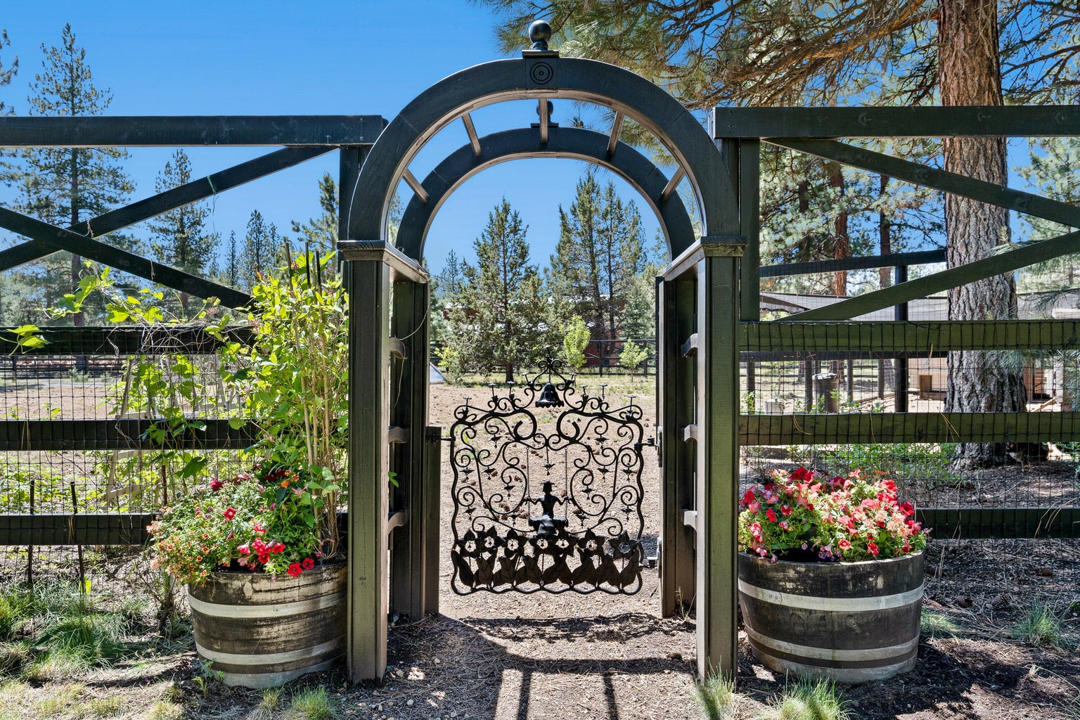 Dreamy gate to garden area