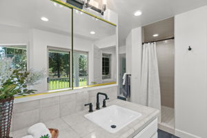 Enclosed water closet with bidet toilet, walk-in shower