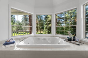 Large jetted tub with a view