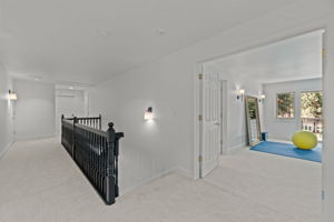 Upper level has all new paint, light fixtures, , luxurious carpet with extra thick, quality pad