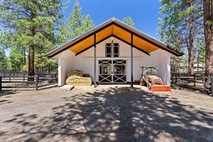 Stately 6 stall barn with 6 paddocks & larger shared paddock