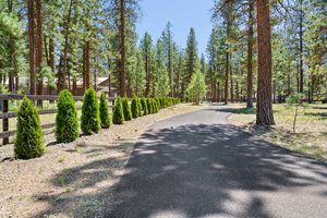 Stately, long, gated, tree-lined driveway