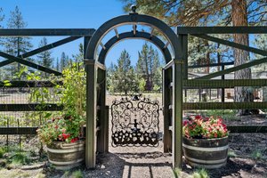 Dreamy gate to garden area