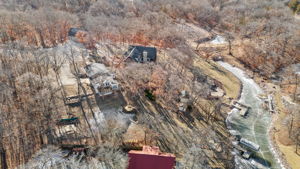  Photo 41