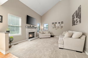 Living Room 1