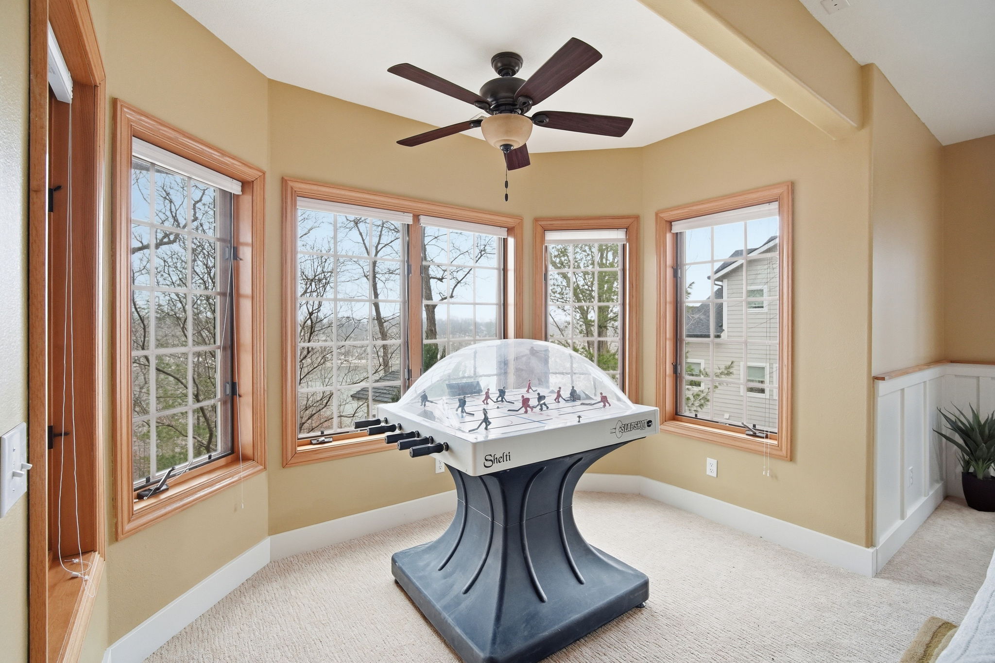 6928 Donahey Dr, Panora, IA 50216, USA Photo 142