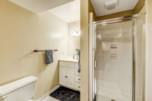 Lower Level - Bathroom