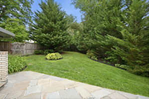 Rear Yard Area