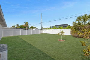 Back Yard (digitally-enhanced)