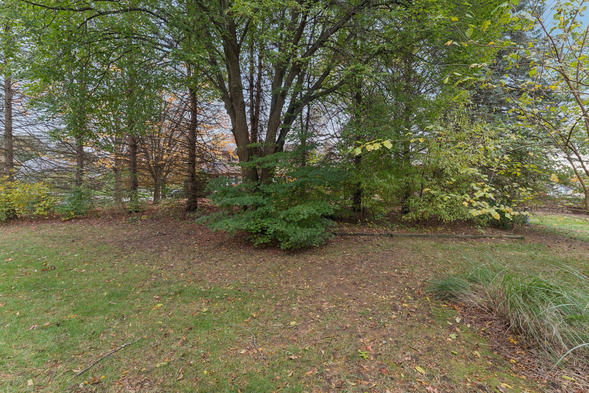 Firestone Rd-S0311-049.jpg