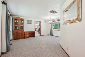 Mickey Ln-2904-029.jpg