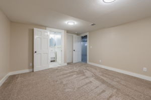  Photo 49