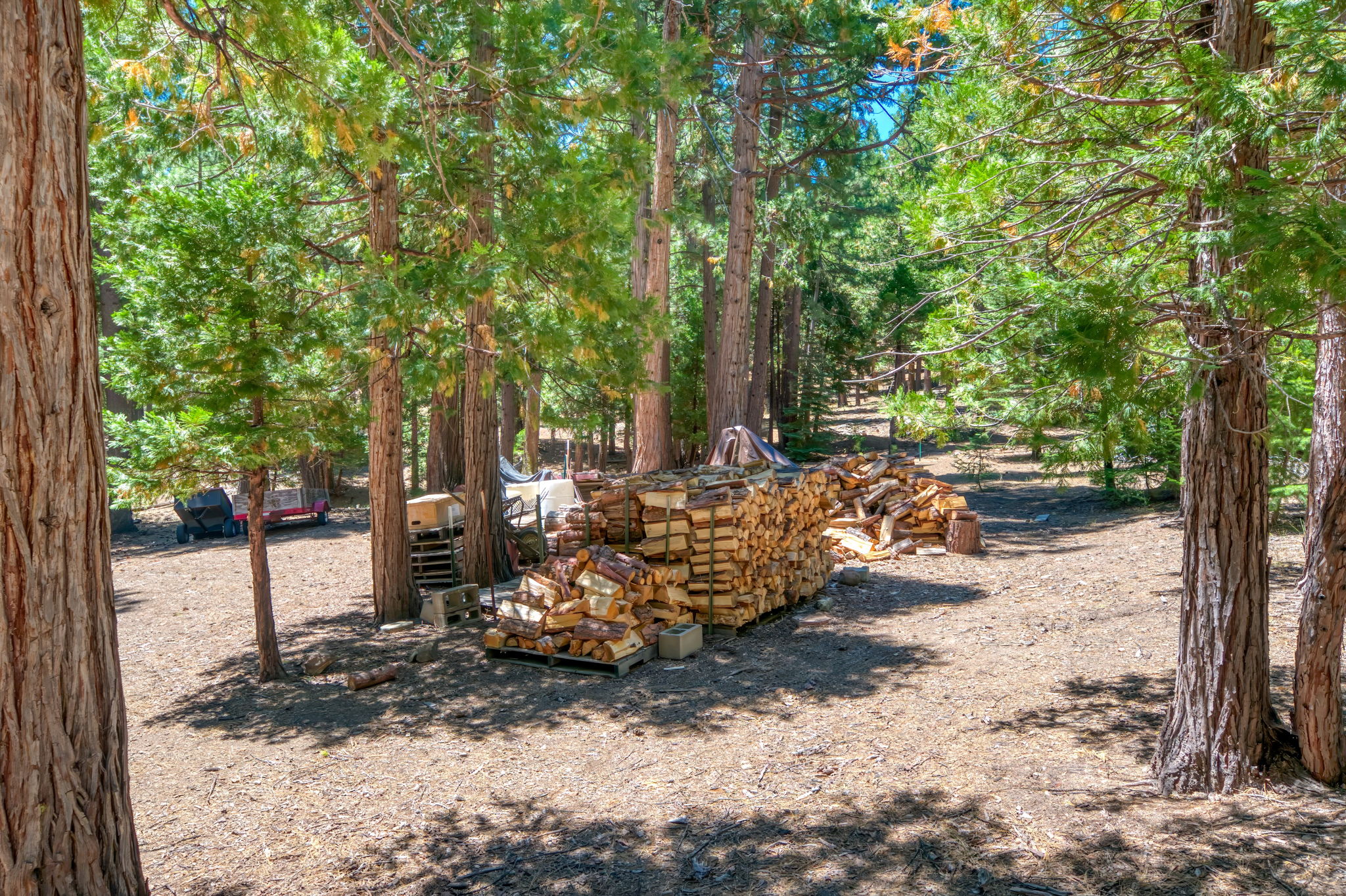  Photo 46