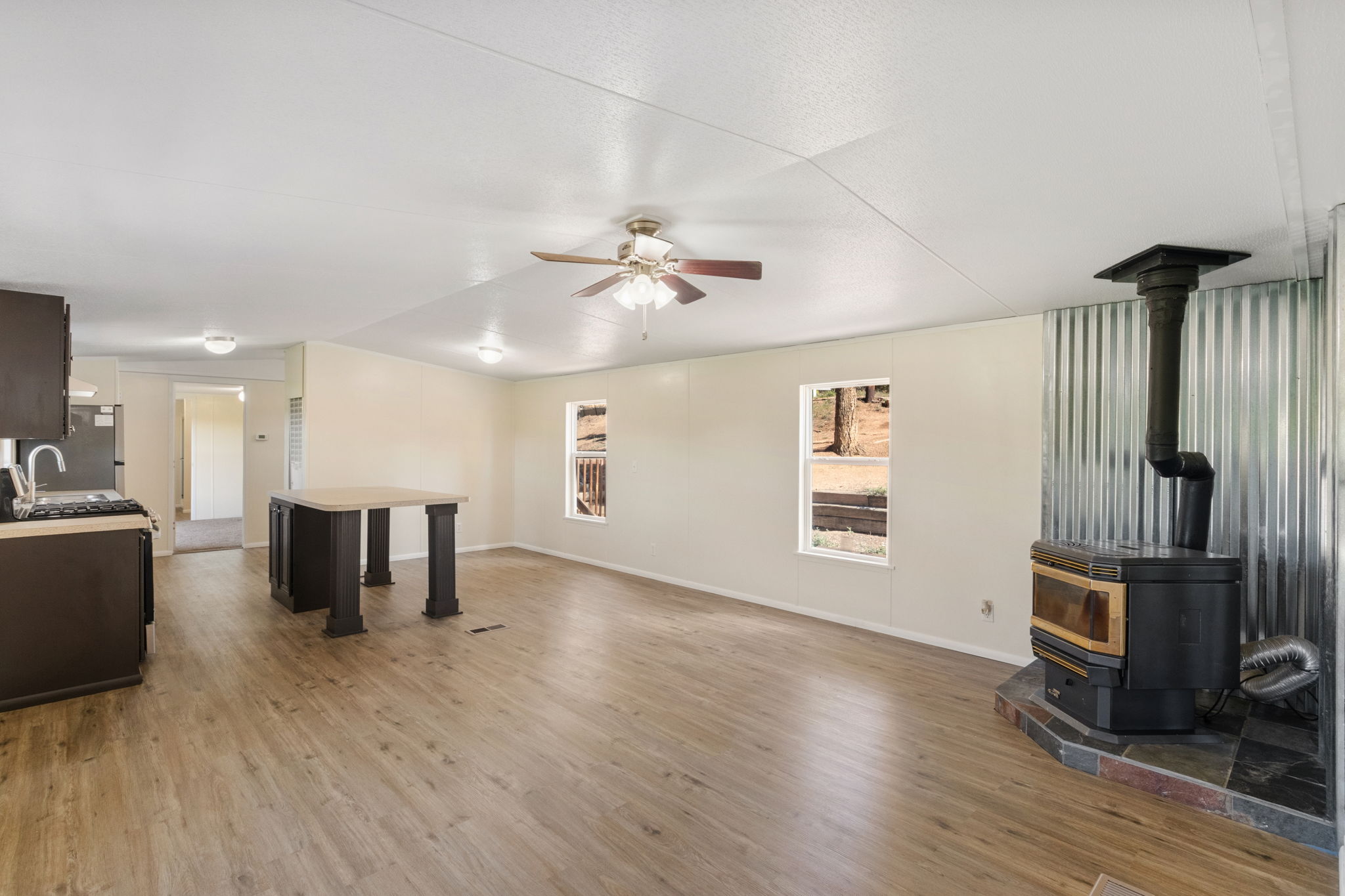 Living Room and Kitchen