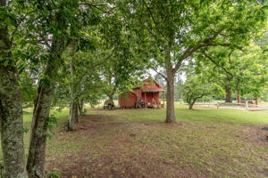 Storage/ Back Yard