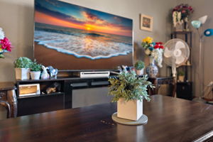 11-3-25 I SSP STR I UAV Vision Media (34)