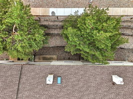 DJI_20260519121147_0965_D