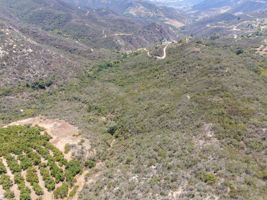  Photo 0