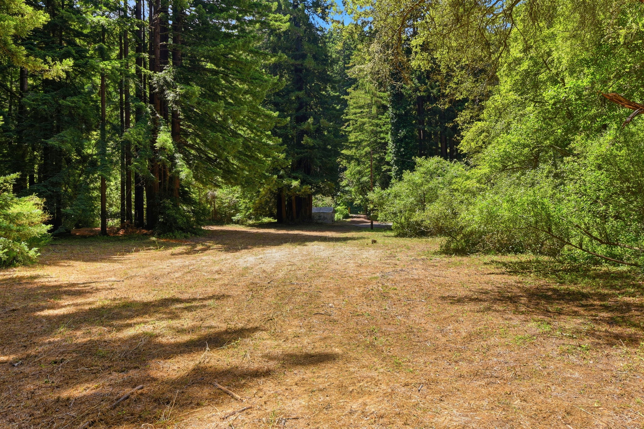 044_F8_6975 La Honda_