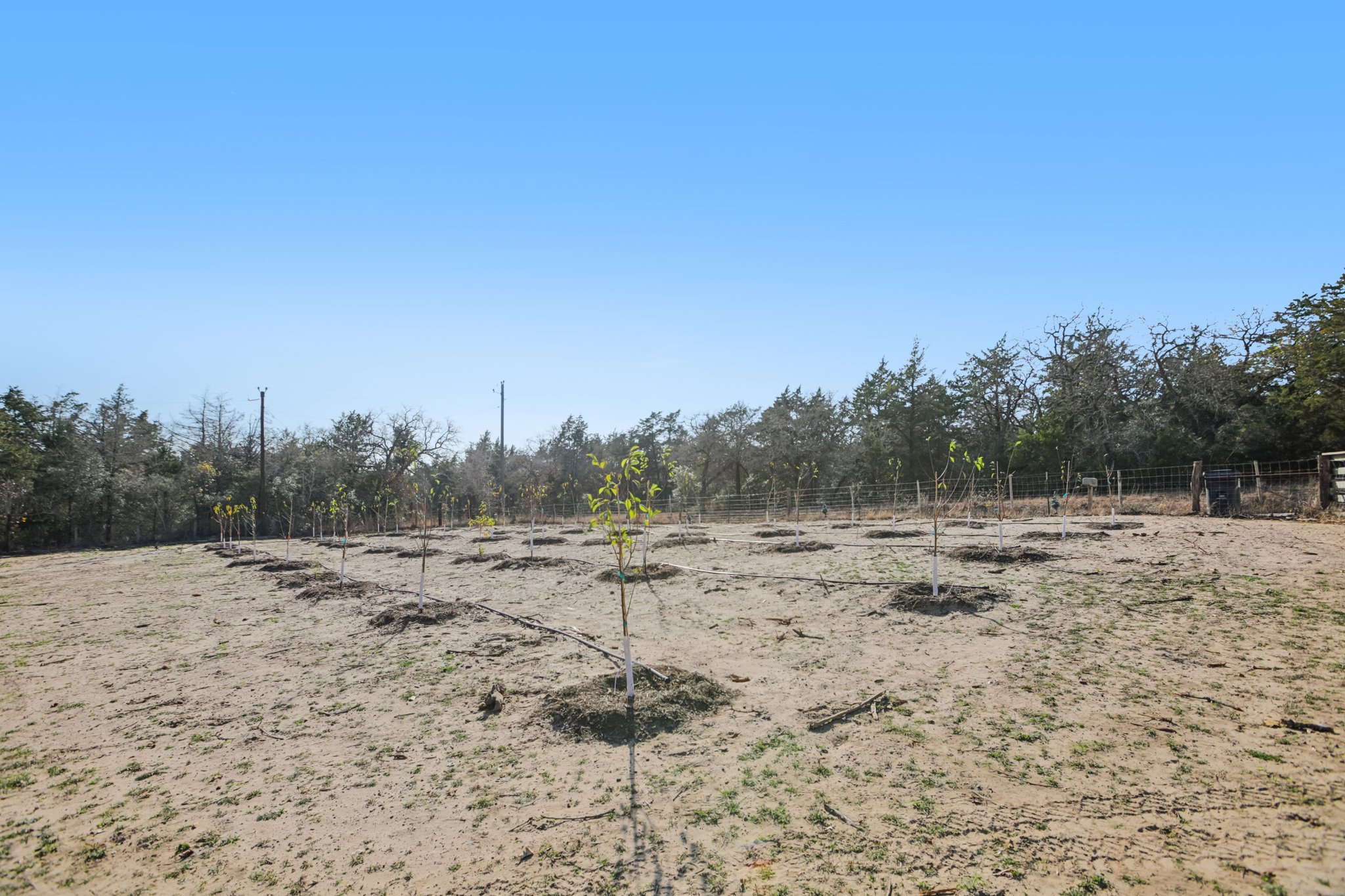 Silver Mine Rd-S0701-009.jpg