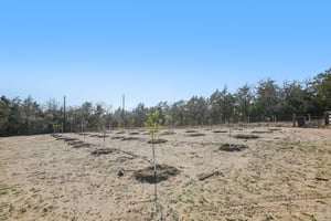 Silver Mine Rd-S0701-009.jpg