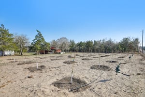 Silver Mine Rd-S0701-011.jpg