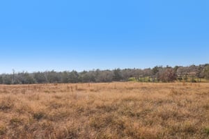 Silver Mine Rd-S0701-043.jpg