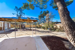 69777 Sugarloaf Ave, Mountain Center, CA 92561, USA Photo 3
