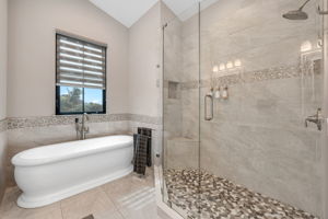 Master Tub and Shower