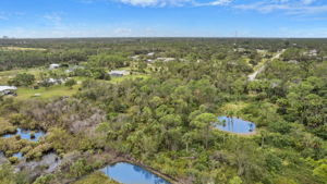 Aerial (7)