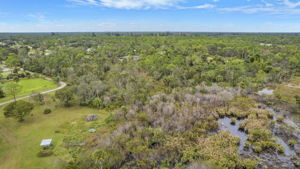 Aerial (12)