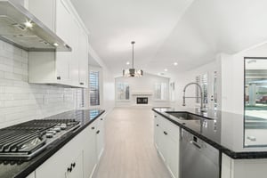 W Firebird Dr-S1001-013.jpg