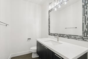 W Firebird Dr-S1001-025.jpg