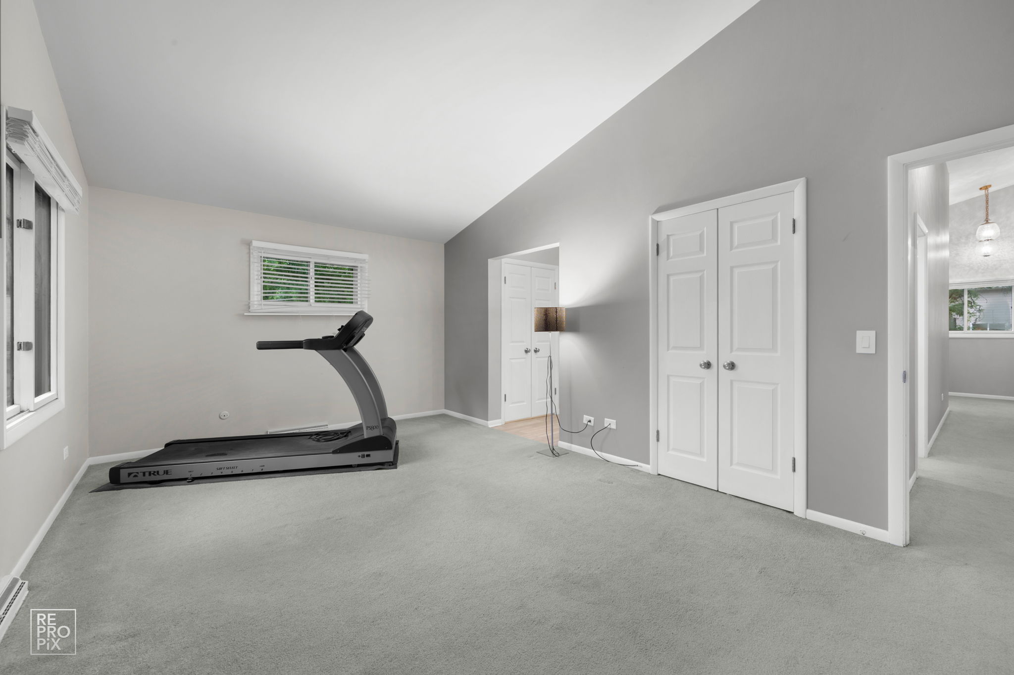 6S575 Bridlespur Dr, Naperville, IL 60540_012