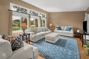 6S575 Bridlespur Dr, Naperville, IL 60540_003