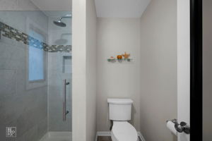 6S575 Bridlespur Dr, Naperville, IL 60540_013
