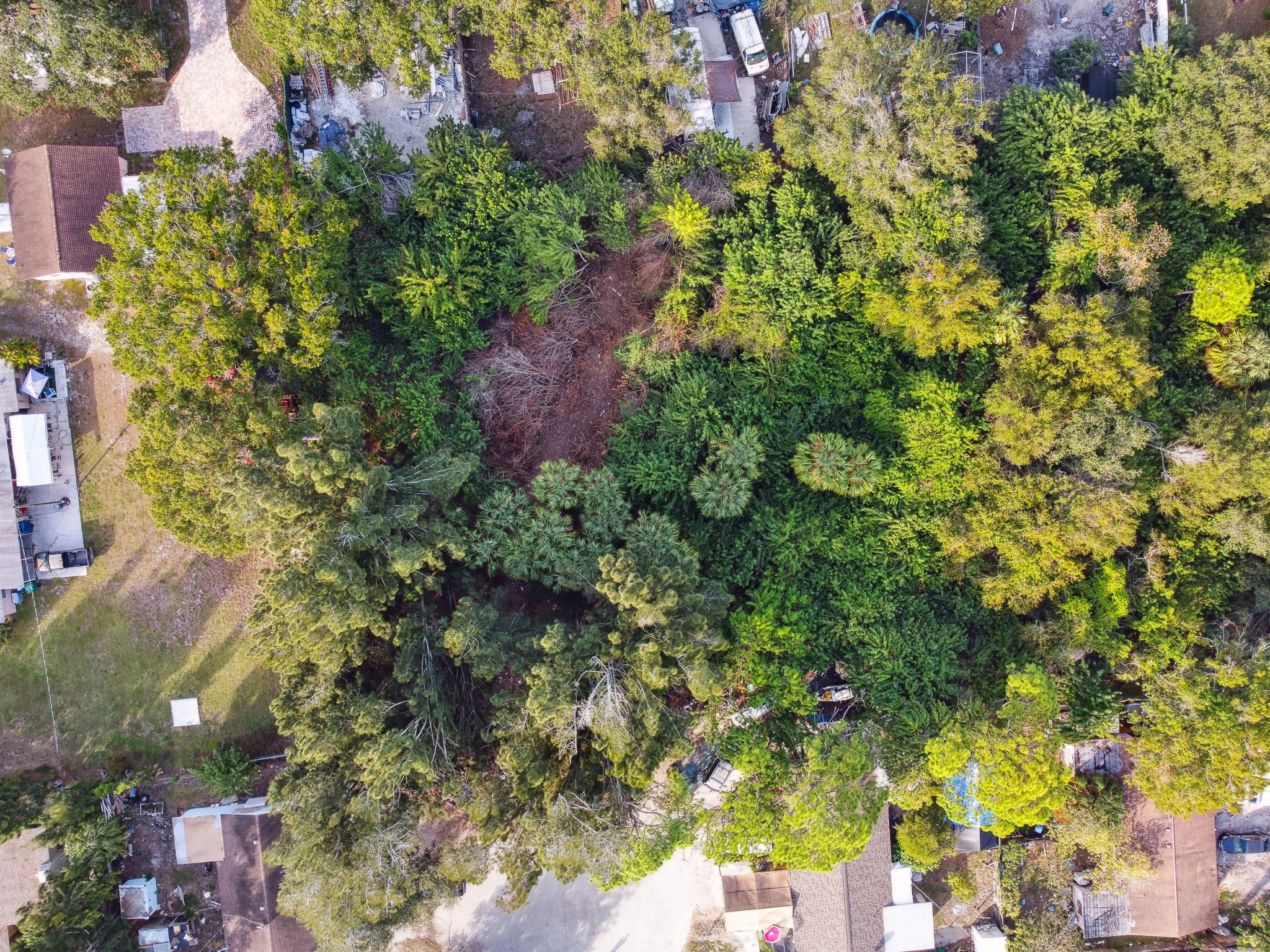 DJI_0157