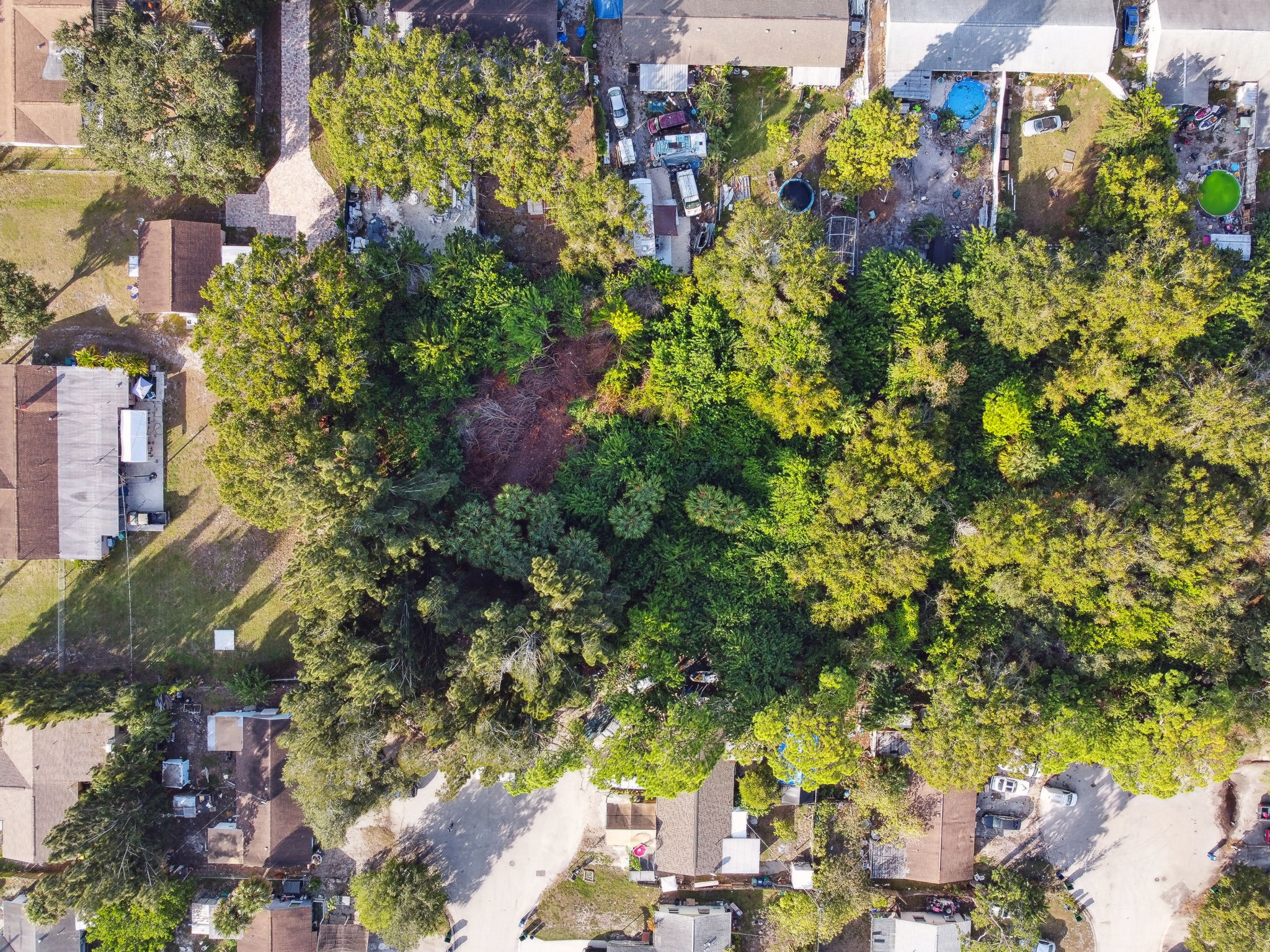 DJI_0193