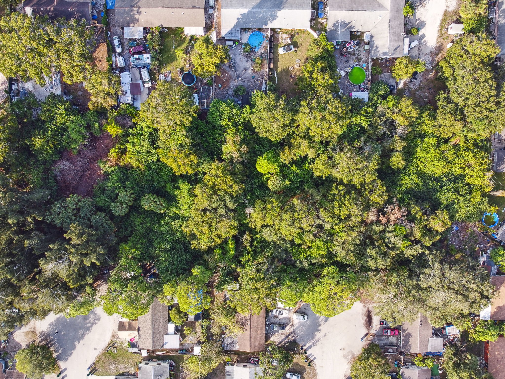 DJI_0196