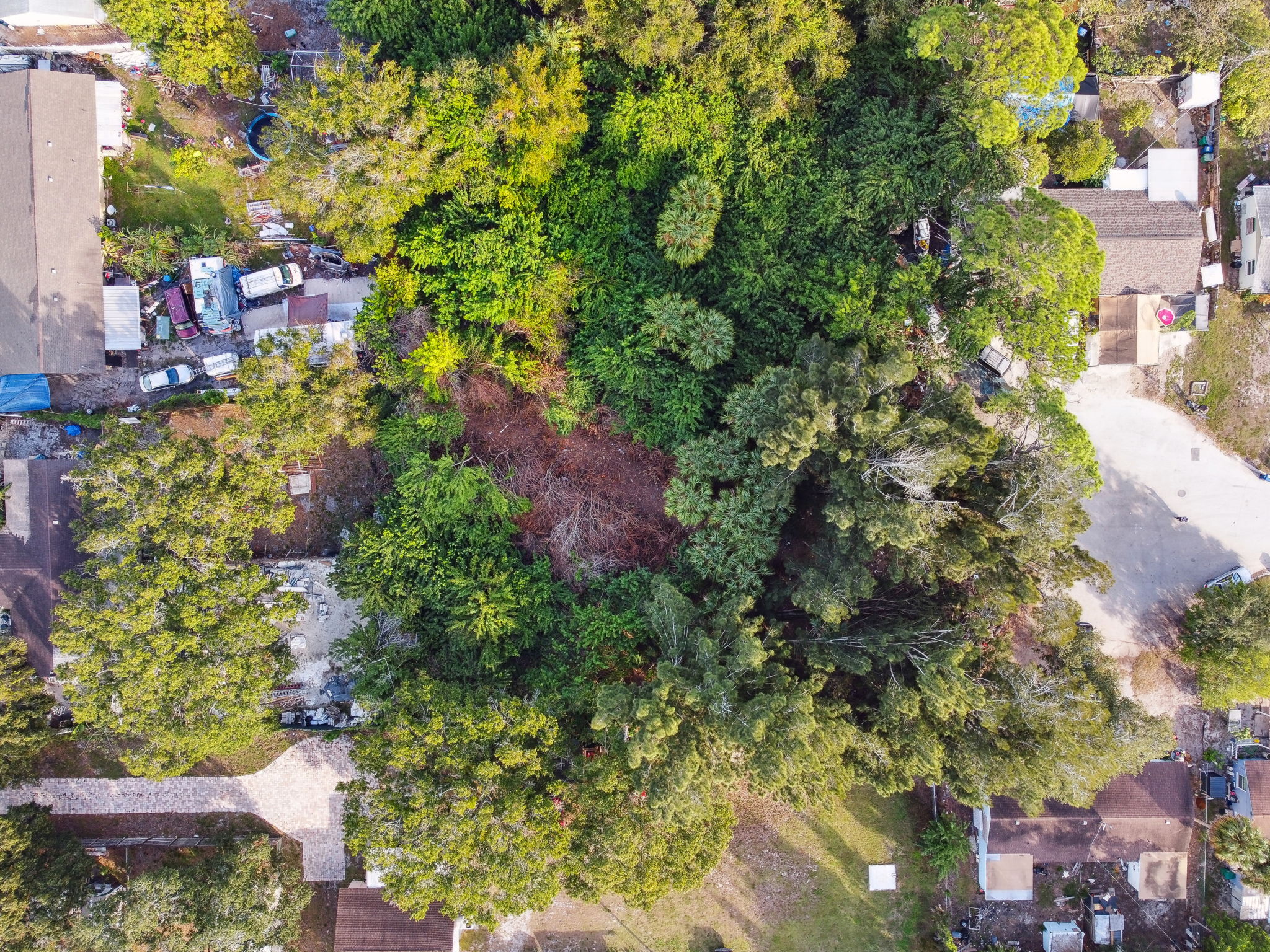 DJI_0160