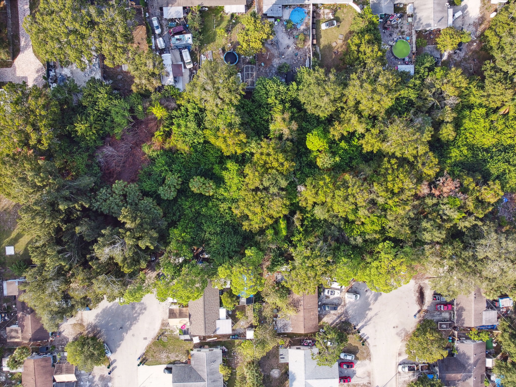 DJI_0163