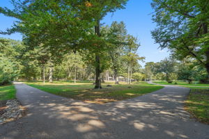 Brookdale is a beloved neighborhood treasure where winding paths, lush lawns, and flowering trees set the scene for every season of life.