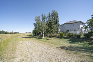 7 Aspen Landing, Strathmore, AB T1P 1R4, Canada Photo 50