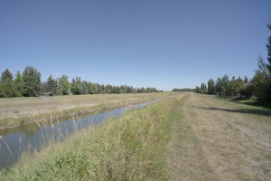7 Aspen Landing, Strathmore, AB T1P 1R4, Canada Photo 48