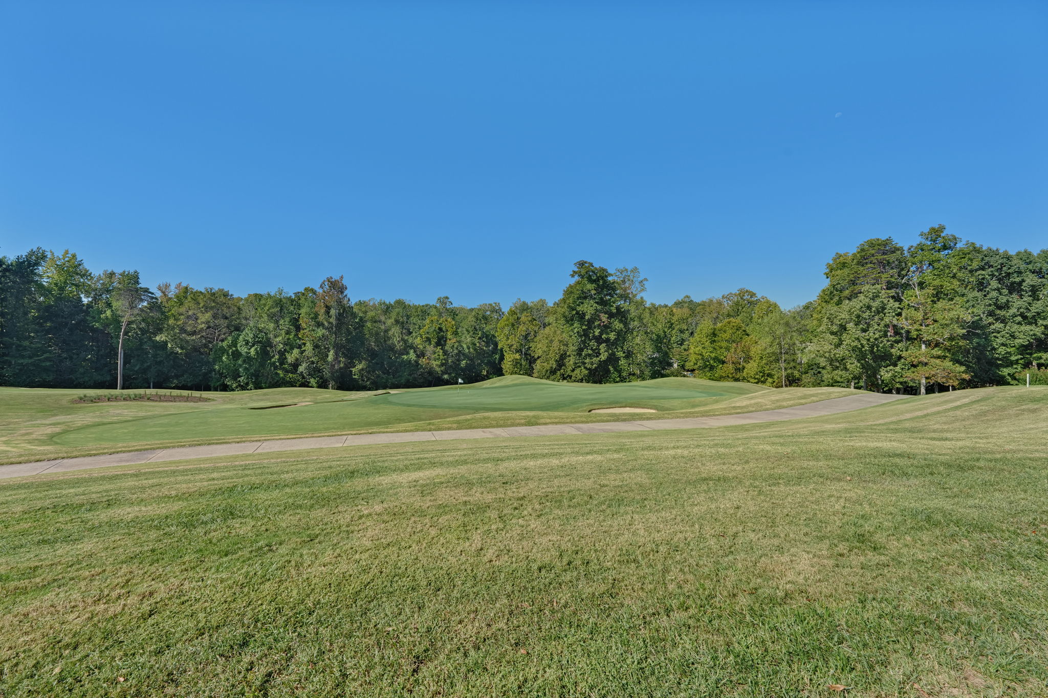 Course View